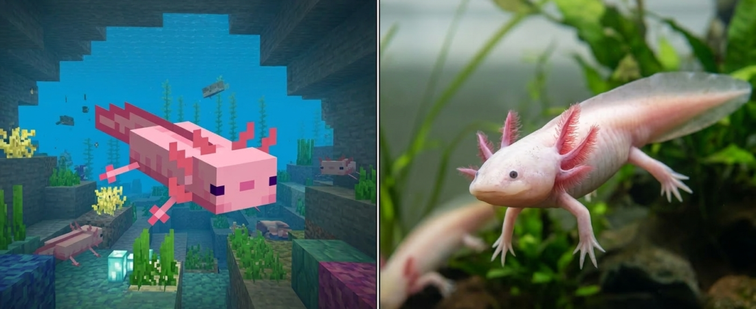 O Animal Mais Raro do Minecraft Existe e Ele Nunca Envelhece!